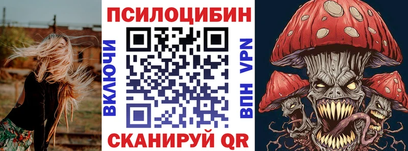 Купить закладки  Циолковский  Галлюциногенные грибы прущие грибы 